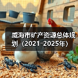 威海市矿产资源总体规划（2021―2025年）