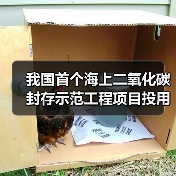 我国首个海上二氧化碳封存示范工程项目投用