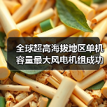 全球超高海拔地区单机容量最大风电机组成功吊装！（图4）