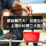 信息量巨大！云南石化、上海杉杉等三大巨头签约合作！