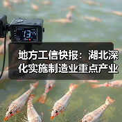 地方工信快报：湖北深化实施制造业重点产业链链长制（图4）