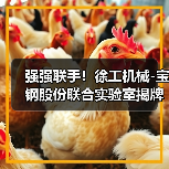 强强联手!徐工机械-宝钢股份联合实验室揭牌(图4) 强强联手!徐工机械-宝钢股份联合实验室揭牌(图4)