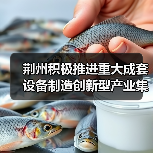 荆州积极推进重大成套设备制造创新型产业集群建设(图1) 荆州积极推进重大成套设备制造创新型产业集群建设(图1)