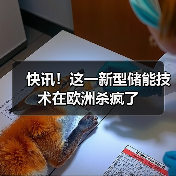 快讯！这一新型储能技术在欧洲杀疯了（图1）