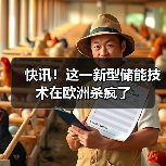 快讯！这一新型储能技术在欧洲杀疯了（图2）