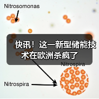 快讯！这一新型储能技术在欧洲杀疯了（图4）