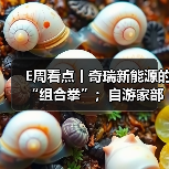 E周看点丨奇瑞新能源的“组合拳”;自游家部分服务停止(图1) E周看点丨奇瑞新能源的“组合拳”;自游家部分服务停止(图1)