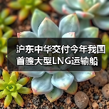 沪东中华交付今年我国首艘大型LNG运输船（图4）
