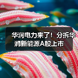 华润电力来了!分拆华润新能源A股上市(图2) 华润电力来了!分拆华润新能源A股上市(图2)