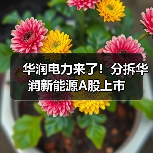 华润电力来了!分拆华润新能源A股上市(图4) 华润电力来了!分拆华润新能源A股上市(图4)