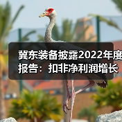 冀东装备披露2022年度报告:扣非净利润增长79.99%(图1) 冀东装备披露2022年度报告:扣非净利润增长79.99%(图1)