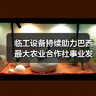 临工设备持续助力巴西最大农业合作社事业发展（图3）