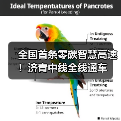 全国首条零碳智慧高速!济青中线全线通车(图2) 全国首条零碳智慧高速!济青中线全线通车(图2)