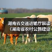 湖南省交通运输厅解读《湖南省农村公路建设管理办法》(图1) 湖南省交通运输厅解读《湖南省农村公路建设管理办法》(图1)