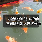 《流浪地球2》中的自主跟随机器人首次登台亮相（图2）