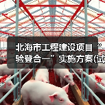 北海市工程建设项目“验登合一”实施方案(试行)印发(图1) 北海市工程建设项目“验登合一”实施方案(试行)印发(图1)