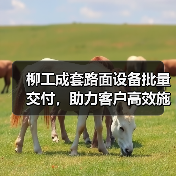 柳工成套路面设备批量交付，助力客户高效施工！