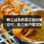 柳工成套路面设备批量交付,助力客户高效施工!(图3) 柳工成套路面设备批量交付,助力客户高效施工!(图3)