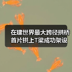 在建世界最大跨径拱桥首片拱上T梁成功架设(图4) 在建世界最大跨径拱桥首片拱上T梁成功架设(图4)