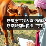 铁建重工超大直径城际铁路隧道盾构机“京通号”下线(图3) 铁建重工超大直径城际铁路隧道盾构机“京通号”下线(图3)
