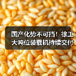 国产化势不可挡!徐工大吨位装载机持续交付东北(图4) 国产化势不可挡!徐工大吨位装载机持续交付东北(图4)