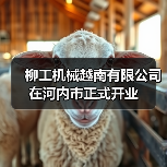 柳工机械越南有限公司在河内市正式开业