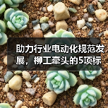 助力行业电动化规范发展,柳工牵头的5项标准草案进行研讨(图4) 助力行业电动化规范发展,柳工牵头的5项标准草案进行研讨(图4)