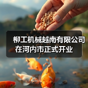 柳工机械越南有限公司在河内市正式开业（图4）