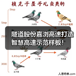 隧道股份嘉浏高速打造智慧高速示范样板!(图1) 隧道股份嘉浏高速打造智慧高速示范样板!(图1)