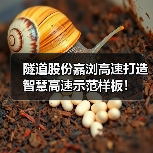 隧道股份嘉浏高速打造智慧高速示范样板!(图4) 隧道股份嘉浏高速打造智慧高速示范样板!(图4)