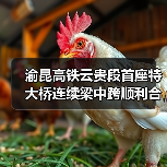 渝昆高铁云贵段首座特大桥连续梁中跨顺利合龙(图3) 渝昆高铁云贵段首座特大桥连续梁中跨顺利合龙(图3)