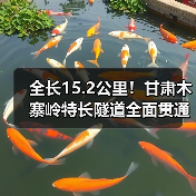 全长15.2公里!甘肃木寨岭特长隧道全面贯通(图2) 全长15.2公里!甘肃木寨岭特长隧道全面贯通(图2)