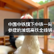 中国中铁旗下中铁一局参建的潍烟高铁全线铺轨贯通!(图4) 中国中铁旗下中铁一局参建的潍烟高铁全线铺轨贯通!(图4)