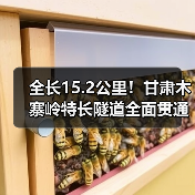 全长15.2公里!甘肃木寨岭特长隧道全面贯通(图3) 全长15.2公里!甘肃木寨岭特长隧道全面贯通(图3)