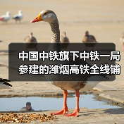 中国中铁旗下中铁一局参建的潍烟高铁全线铺轨贯通!(图3) 中国中铁旗下中铁一局参建的潍烟高铁全线铺轨贯通!(图3)