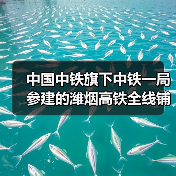 中国中铁旗下中铁一局参建的潍烟高铁全线铺轨贯通!(图2) 中国中铁旗下中铁一局参建的潍烟高铁全线铺轨贯通!(图2)