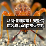 从制造到智造!安徽高速公路为加快建设交通强国提供助力(图2) 从制造到智造!安徽高速公路为加快建设交通强国提供助力(图2)