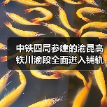 中铁四局参建的渝昆高铁川渝段全面进入铺轨阶段!(图3) 中铁四局参建的渝昆高铁川渝段全面进入铺轨阶段!(图3)