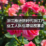 浙江推进新时代浙江产业工人队伍建设改革走深走实(图3) 浙江推进新时代浙江产业工人队伍建设改革走深走实(图3)