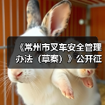 《常州市叉车安全管理办法(草案)》公开征求意见!(图3) 《常州市叉车安全管理办法(草案)》公开征求意见!(图3)
