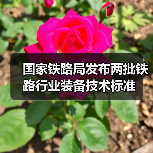 国家铁路局发布两批铁路行业装备技术标准(图1) 国家铁路局发布两批铁路行业装备技术标准(图1)
