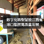 数字化转型赋能江西省港口集团高质量发展(图1) 数字化转型赋能江西省港口集团高质量发展(图1)