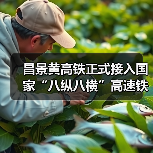 昌景黄高铁正式接入国家“八纵八横”高速铁路网（图1）