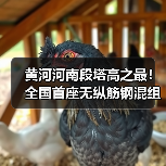 黄河河南段塔高之最!全国首座无纵筋钢混组合塔成功封顶(图1) 黄河河南段塔高之最!全国首座无纵筋钢混组合塔成功封顶(图1)