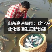山东高速集团:数字产业化激活发展新动能(图4) 山东高速集团:数字产业化激活发展新动能(图4)