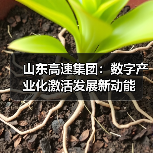 山东高速集团:数字产业化激活发展新动能(图1) 山东高速集团:数字产业化激活发展新动能(图1)