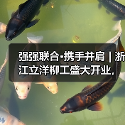 强强联合·携手并肩 | 浙江立洋柳工盛大开业,崭新出发!(图3) 强强联合·携手并肩 | 浙江立洋柳工盛大开业,崭新出发!(图3)