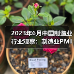 2023年6月中国制造业行业观察:制造业PMI有所回升(图4) 2023年6月中国制造业行业观察:制造业PMI有所回升(图4)