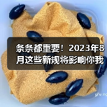 条条都重要!2023年8月这些新规将影响你我生活(图1) 条条都重要!2023年8月这些新规将影响你我生活(图1)