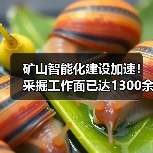 矿山智能化建设加速！采掘工作面已达1300余个（图1）